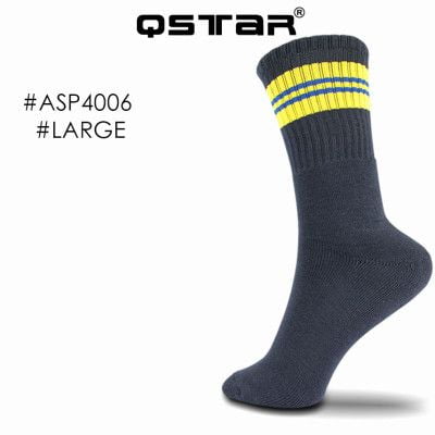 asp4006-L2