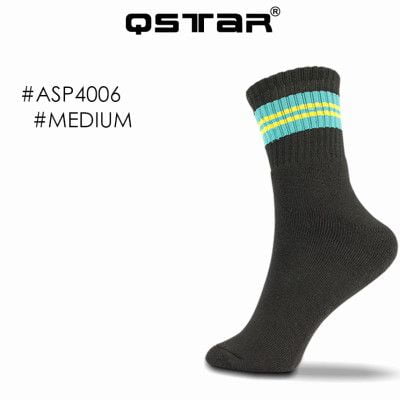 asp4006-M2
